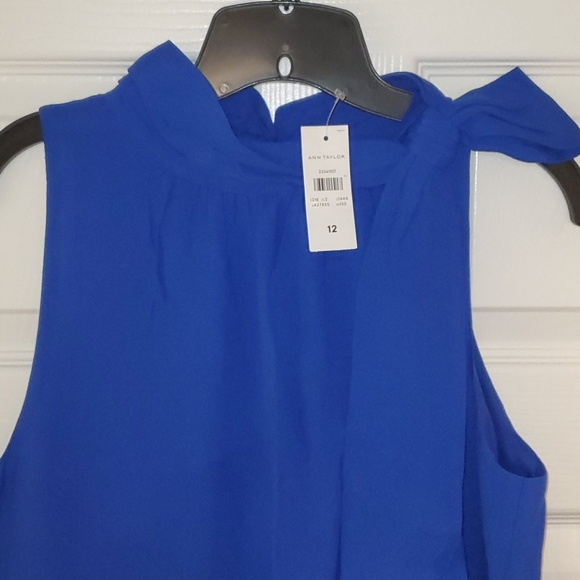 NEW Cobalt Blue Shift Dress - Picture 2 of 5